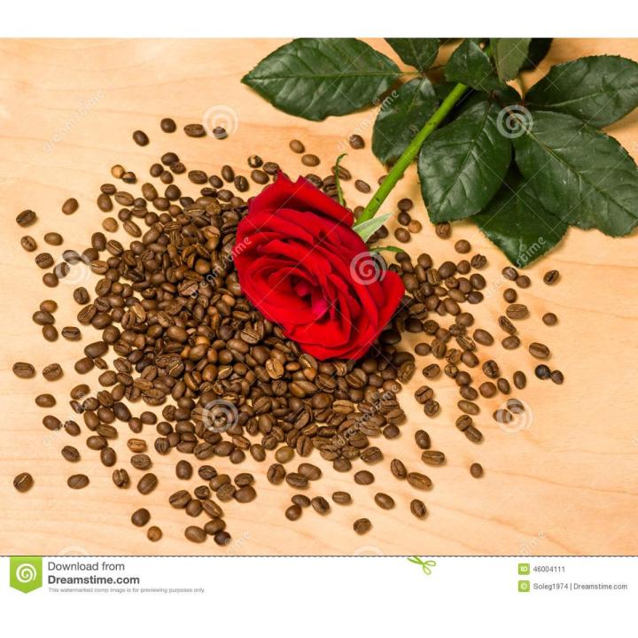 Climbing Red Rose Flower Seeds - 20 Pcs Seeds (Imported Seeds)