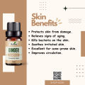 Ikebana Ginger Essential oil 20 ml. 