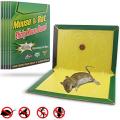 1 Piece Mouse Board Sticky Mice Glue Trap High Effective Rodent Rat Snake Bugs Catcher Pest Control Reject Non-toxic(ইঁদুর আঠালো ফাঁদ উচ্চ কার্যকর). 