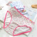 10Pcs/Lot Cotton Panties Children Underwear Child Cartoon Shorts Underpants Girl Briefs 1-12Years. 