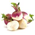 50 Pse Intact Packet Turnip/Shalgom Seeds.