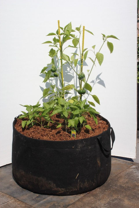 GEO%20Bag%2030%20Gallon%20(Dia%2024"%20Hight%2015.5")%20Plant%20Grow%20Bags,%20Synthetic%20Pot%20-%20(100%20Pcs%20Bundle%20)%20-%20Image%205