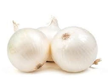 white%20Onion%20Tree%20seeds%2050%20pcs%20-%20Image%203