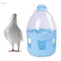 Pigeon Waterer Drinker Feeder Automatic Bird Water Dispenser for Duck Parrot 2L.