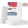 White Premium Painting Canvas 8 x 12 Inch. 