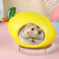 GC Ceramic Hamster Hideout Cool Small Animal Pet Squirrel Hedgehog Chinchilla Nest Hamster House Habitats Cool Bed For Syrian Dwarf Hamster Mice Other Similar-Sized Small Pet.