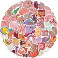 65Pcs Cartoon Human Body Organ Stickers Waterproof Sticker Anatomy Map Decals for Water Bottle Laptop Luggage Phone Kids Toys.