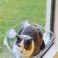 Cat Window Perch Cat Hammock Cat Resting Shelf Cat Furniture Window Seat Light Yellow. 