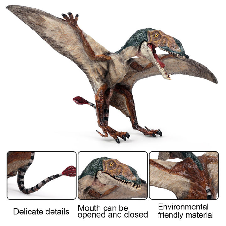 NYT%20Realistic%20Pterodactyl%20Dinosaur%20Action%20Figurine%20Model%20Desktop%20Decor%20Kids%20Toy%20Gift%20-%20Image%206