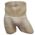 Men See Through Tulle Low Rise Boy Sissy Boxer Briefs Underwear Ultra-thin Breathable Transparent Boxershorts Lingerie. 