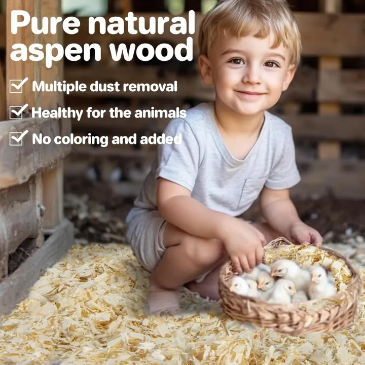 Chicken%20coop%20Bedding%20-%20Aspen%20shavings%20Animal%20Bedding%20as%20Chicken%20Supplies%20for%20Chicken%20House%20Bedding%20winterizing%20Nesting%20for%20Small%20pet%20Guinea%20Pig%20Rabbit%20Chinchilla%20Bird%20Gerbil%20Odor%20Control%20-%20Image%202