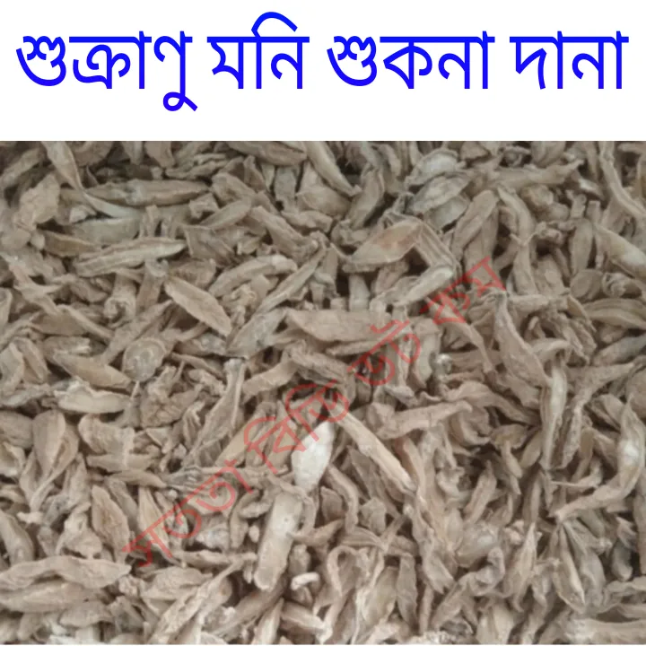 bijjo%20moni%20%20shukna%20dana%20%20/%20bijjo%20moni%20%20shukna%20%20dana%20%20250gm%20-%20Image%202