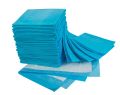 Disposable Underpad Adult (60cmx90cm) (10pcs/1pkt).