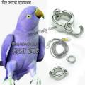 Ringneck Parrot Leg Ring Safety with Harness 60 Inc Long Combo full Set 1PCS. 
