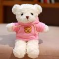 Sweater Bear Plush Toy Teddy Bear Doll Bear Doll Crane Machine Dressing Bear Rag Doll Wholesale Set LOGO. 