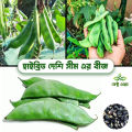 Fresh hybrid seeds flat beans (sim) 25 pice..