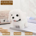 【selevn roind】Plush Electric Puppy Walk Bark Nod Wag Tail Simulation Electric Dog Bottom Switch Electric Pet Kids Toys For Kids Birthday Gift.