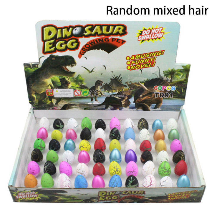 5PCS Birthday Creative Novelty Science And Education Toys Soak In Water To Hatch Dinosaur Eggs Children's Educational Props Leima
