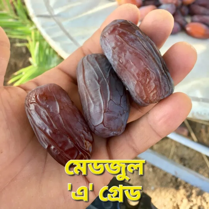 Medjool%20Premium%20Quality%20Dates%203Kg%20Box%20-%20Image%204