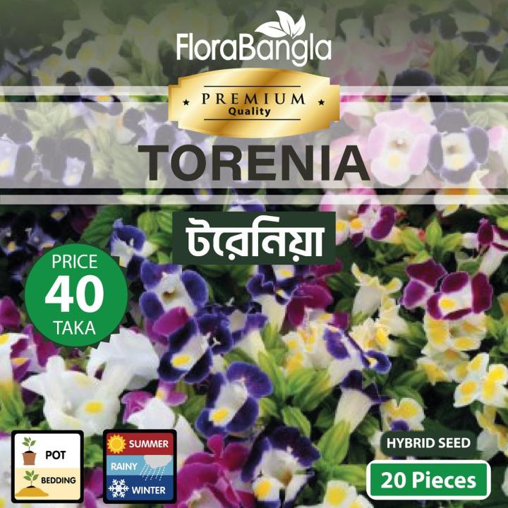 Hybrid Torenia Seeds 20 Pieces(Premium)