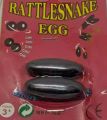 Making Rattlesnake Egg Magnets (2 Pairs) -4 Pcs..