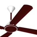 Conion Signature Ceiling Fan 56 inch, RPM: 305, Watt: 75, Color: Brilliant Maroon, 07 Years Guaranty.