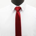 Fashion Casual Standard Neck Tie.