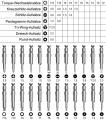 25 in1 Portable Precision Multifunction Screwdriver Set. 