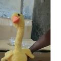 Talking & Dancing Duck  Mimicking Toy (USB CHARGING)-. 