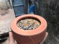 Soil Pot For pets 1PCS. 