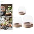 Glass Planter Plant Propagating Jar Desktop Planter for Home Indoor Garden Small. 