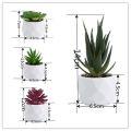 Mini Evergreen Artificial Succulent Fake Plants Plastic Succulents Bonsai Cactus Bonsai Plants Home. 