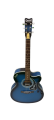 Givson Venus Super Special, 6-Strings, Semi-Electric Guitar, Right-Handed, Blue. 