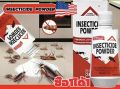 Safer Brand Diatomaceous Earth Powder Ant & Crawling Insect Killer. 