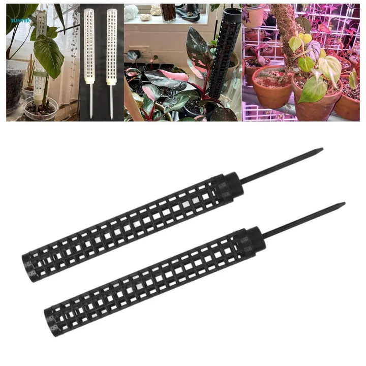 Plant%20Support%20Poles,%20Sticks%20Pole%20for%20Plants%20Fastening,%20Water%20Retaining%20Potted%20Aid%20Plants,%20Palm%20Houseplants%20Plant%20Display%20Rack%20Plant%20Stakes%20-%20Image%206