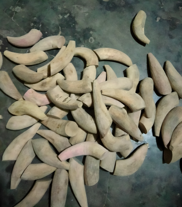 বাঁশের ঘোটা বা ঘুটনি/পিসনি/নোরা