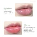 Fresh Vaseline Lip Balm Lipstick Base Color Changing Lip Oil Moisturizing Transparent Lipgloss Long Lasting Hydrating Lip Care. 
