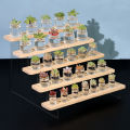 Solid Wood Acrylic Display Stand Desk Perfume Storage Rack Nail Polish Organizer Shelf Transparent Trapezoidal Doll Display Rack.