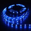 5M 2835 RGB LED Strip Light 300 LEDs DC 12V Red Green Blue Warm White Cool White Flexible SMD 2835 LED Diode Ribbon Tape Lamp. 