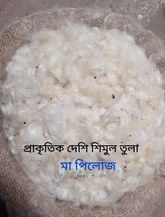 Shimul%20Tula%202%20KGS%20(%E0%A6%B6%E0%A6%BF%E0%A6%AE%E0%A7%81%E0%A6%B2%20%E0%A6%A4%E0%A7%81%E0%A6%B2%E0%A6%BE%20%E0%A7%A7%E0%A7%A6%E0%A7%A6%25%20%E0%A6%AA%E0%A7%8D%E0%A6%B0%E0%A6%BE%E0%A6%95%E0%A7%83%E0%A6%A4%E0%A6%BF%E0%A6%95),%20No%20Seed,%20No%20Mix%20Comfortable%20good%20for%20sleep%20-%20Image%202