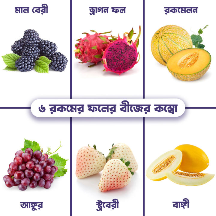 6 type mix fruit seeds 24 pic - ( Blackberries, dragon, rockmelon, greps, strawberry, Cucumis melo )