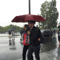 12 Ribs Folding Umbrella Windproof Compact Travel,Auto Open/Close Large Rain Umbrellas W/Polyester Coating, Ergonomic Handle FRE. 