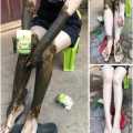 Green Tea Glutathione Fairy Scrub Soap for Face and Body, Gentle Exfoliating Texture (Thailand).