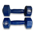 5 KG BLUE DUMBLE 2 PIS.