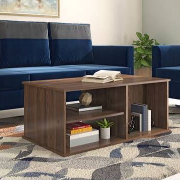 Center%20Table%20%7C%20Center%20Table%20%7C%20Modern%20Center%20Table%20%7C%20Drawing%20Room%20Center%20Table%20%7C%20(Model:%20WCT419)%20-%20Image%202