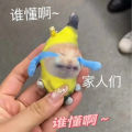 Sad Hamster Plush Toy With Sound Song Sad Hamster Plush Music Meme Plush Toy Key Chain Figure Soft Toy Stuffed Animal Keychain. 
