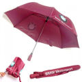 BMW Motorsport umbrella..