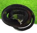 New Rubber Snake Toy for kids. 