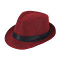 Fedora Summer Men's Hat. 