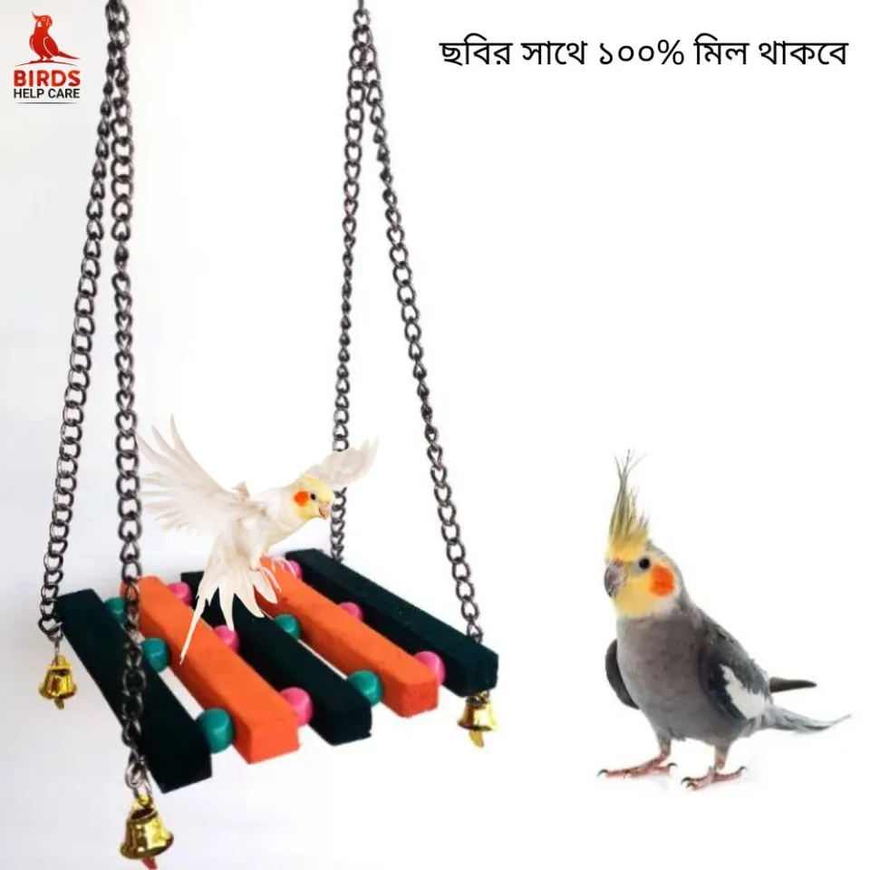 Birds Swing toy for Budgies, Cockatiel, Parrot, Conure, Java